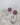 Ruby and watermelon tourmaline earrings