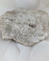 Horseshoe Necklace